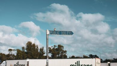 Soap Dispensers in Public Toilets
