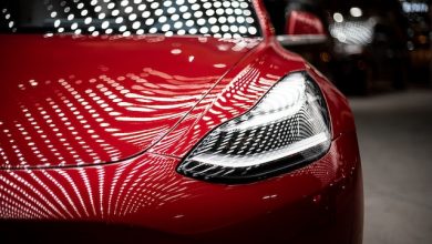 The Art of Paint Protection