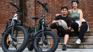 Alligator Step-thru E-Bike