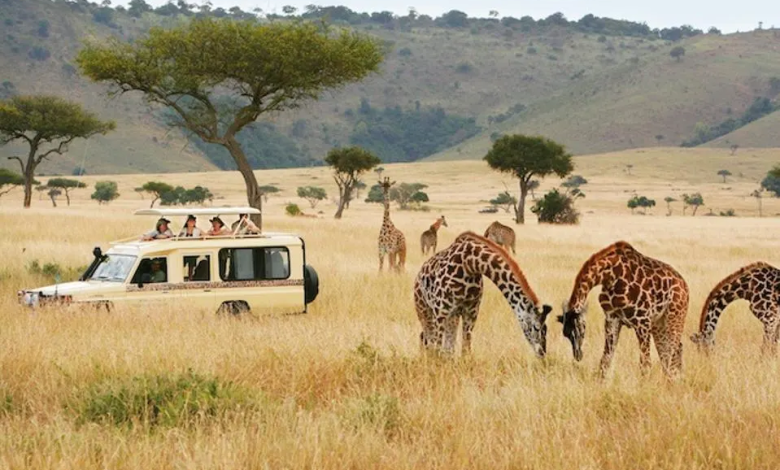 the Wonders of Kenya Safaris