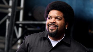 Cool Story of Ice Cube