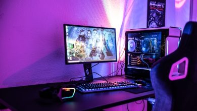 creation of streaming platforms