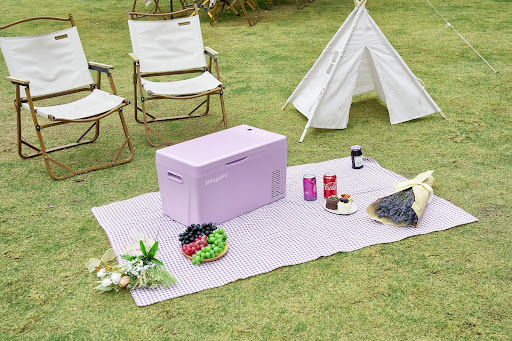 Colorful Fridge for Travelers