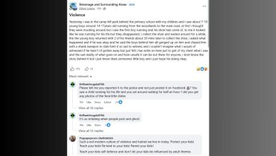 Stevenage Park Knife Attack