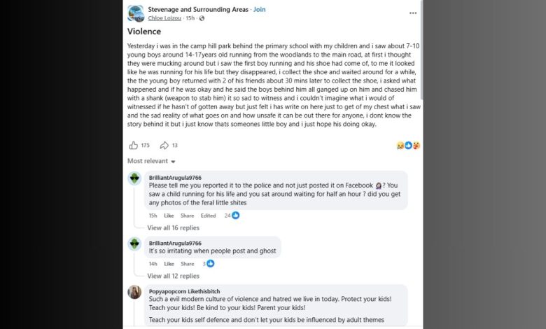 Stevenage Park Knife Attack