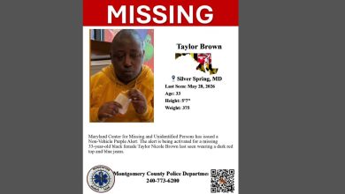 Taylor Nicole Brown missing