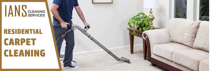 carpet steam cleaning costs