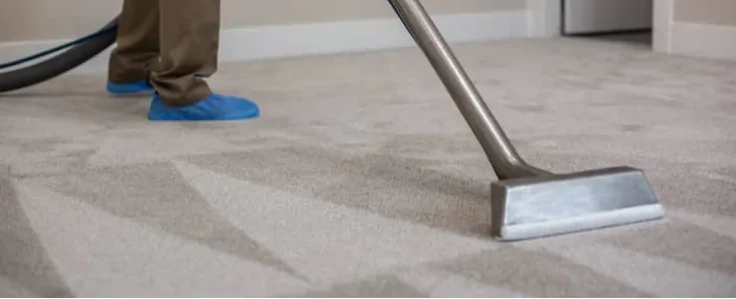 carpet steam cleaning cost