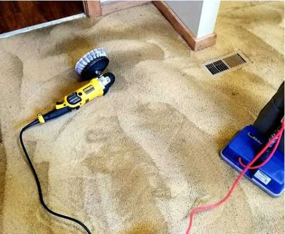 Best Carpet Steam cleaning