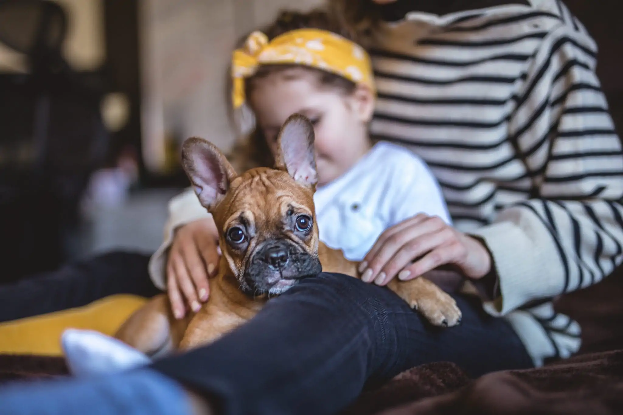 The Pros and Cons of Raising a Puppy vs. a Baby