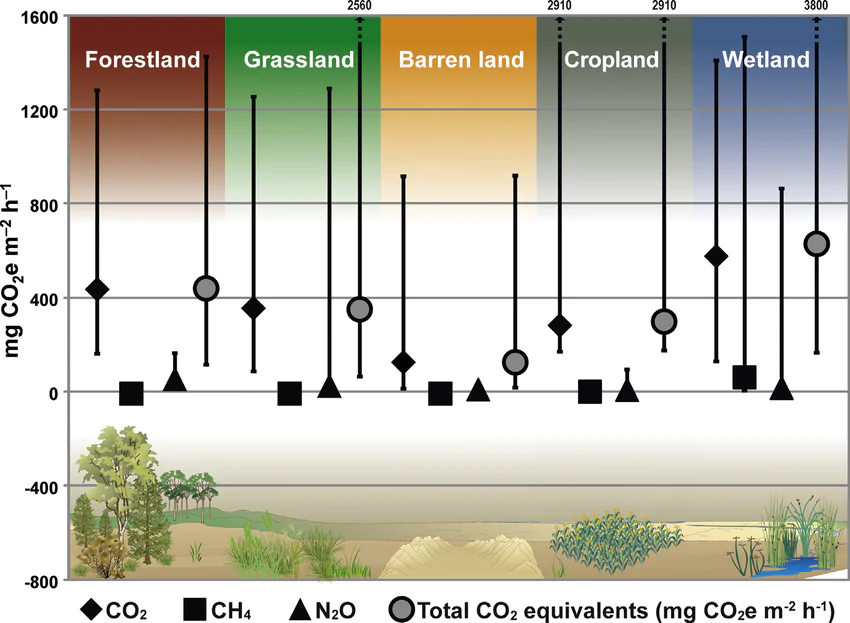N2O vs CO2 - Understanding the Differences