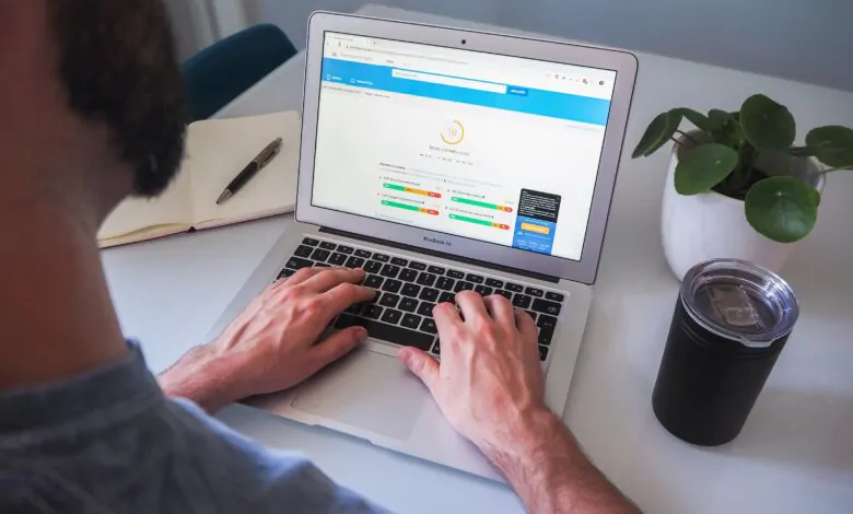 Wordpress Developer